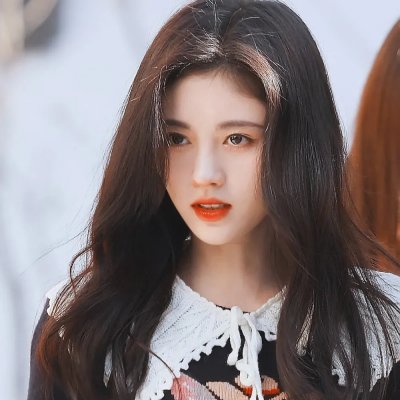 荒野丛林 (电影)